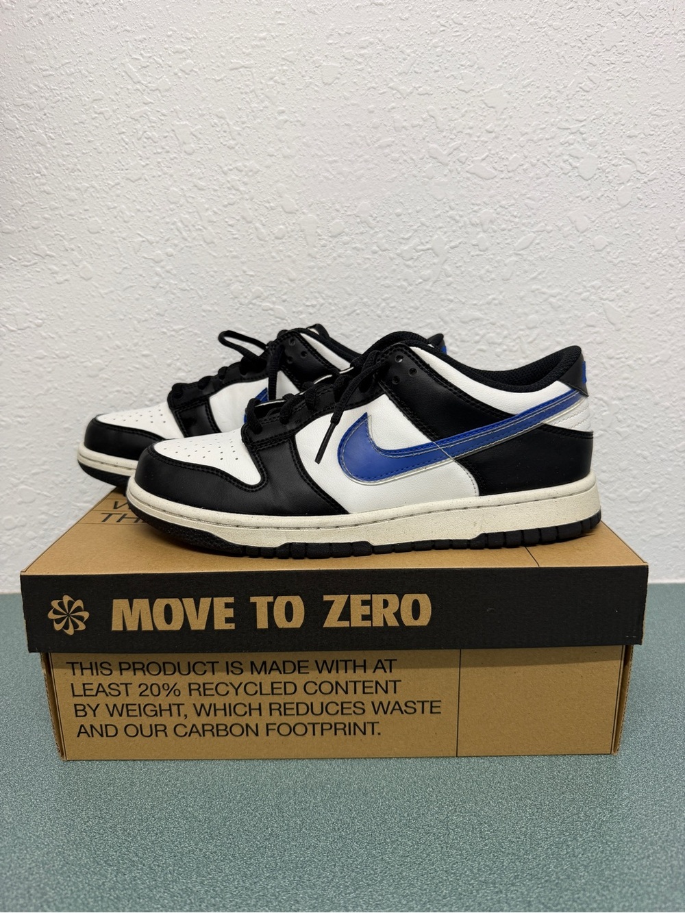 Nike Dunk Low Next Nature (GS) "TPU Swoosh"
